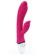 Vibe Dreamer II USB Rose Red