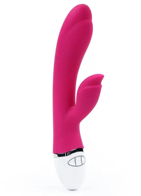 Vibe Dreamer II USB Rose Red