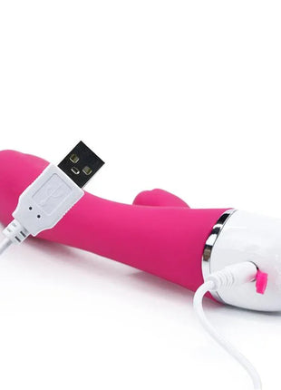 Vibe Dreamer II USB Rose Red