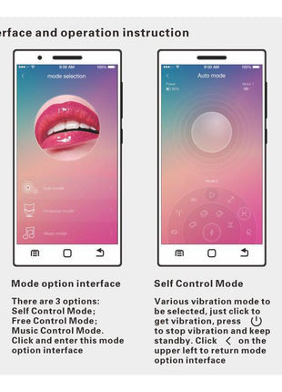 Nymph Vibrating Egg with Movil APP