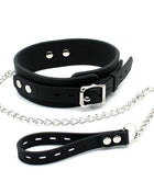 Collar with Leash Silicone