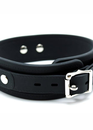Collar with Leash Silicone
