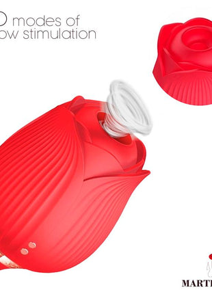 Airflow Rose and Thrusting Stimulator Egg USB
