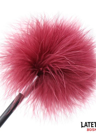 Feather Tickler and Rose Shape Paddle