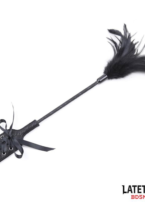 Multi Feathers Tickler and Lace Ribbon Paddle Comb