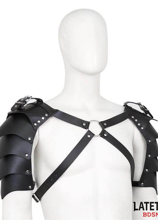Shoulder Harness Adjustable