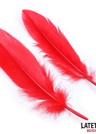 3 Pieces Bondage Set Cuffs Eye Mask and Feathers