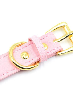 Golden Kitty Cat Collar with Bell