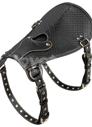 Rebellion Reign Dildo Saddle