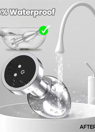 Dimpor Chrome Anal Plug with Vibration and Magnetic USB Size M