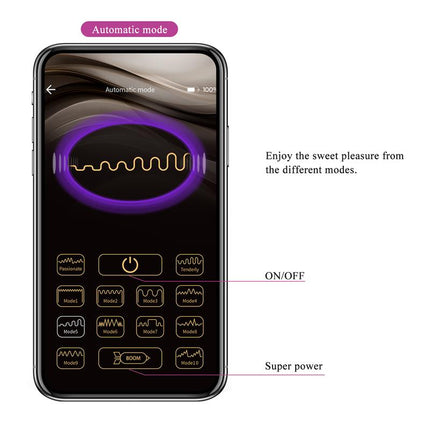 Franz Vibe with Panty Stimulator and App