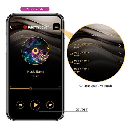 Franz Vibe with Panty Stimulator and App