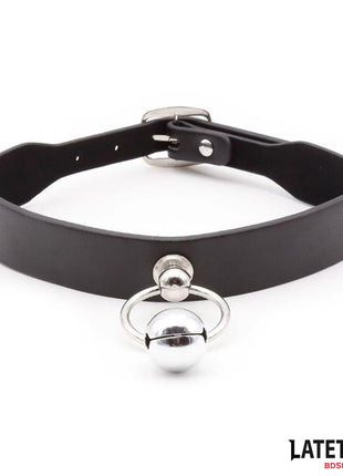 Collar with Bell and Leash