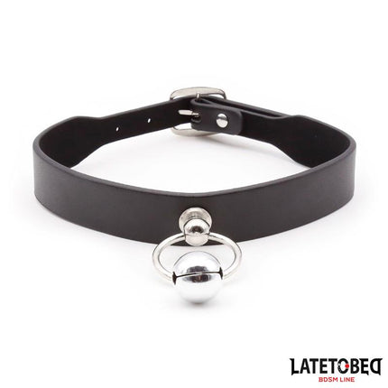 Collar with Bell and Leash