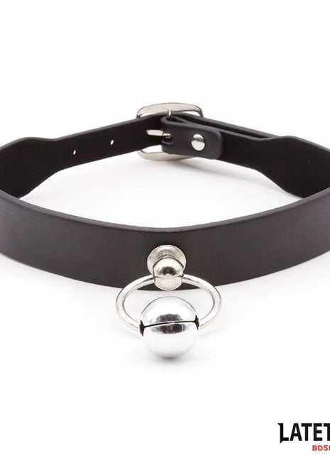 Collar with Bell and Leash
