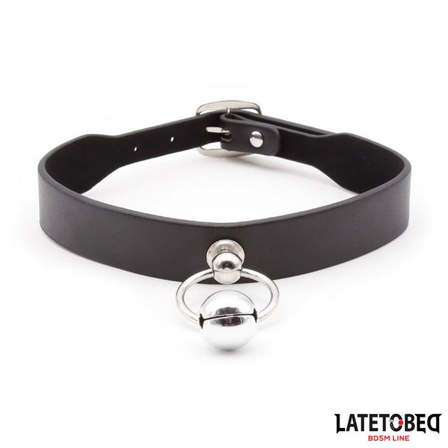 Collar with Bell and Leash