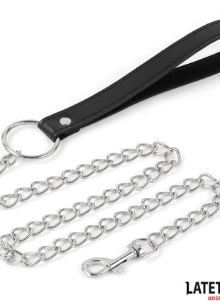 Collar with Bell and Leash