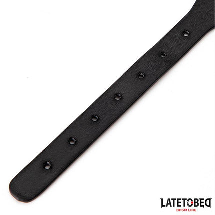 Collar with Bell and Leash