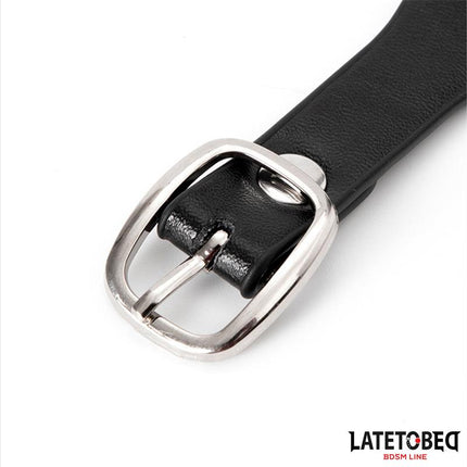 Collar with Bell and Leash