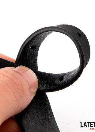 Collar with Bell and Leash