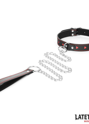 collar with Leash 52 cm