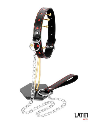 collar with Leash 52 cm