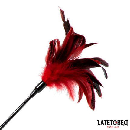 2-in-1 Paddle with feather