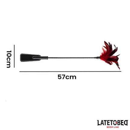 2-in-1 Paddle with feather