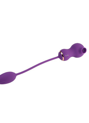Rusher Clitoris Sucker and Vibrating Egg