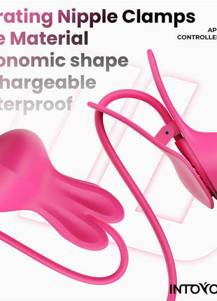 Tickly Nipple Clamps ith Vibration, Remote and Necklace with App