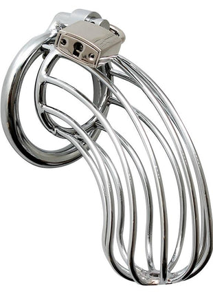 Chastity with padlock metal