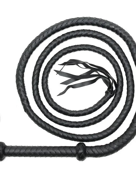 Whip 250 cm