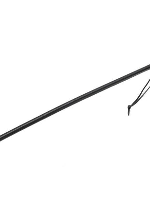 Cane 62 cm