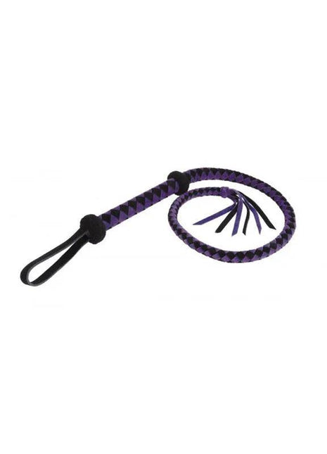 Bullwhip