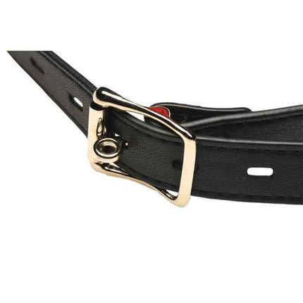 Sissy Mouth Gag with Vibration