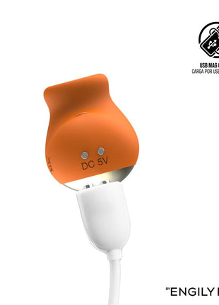 Pipo Clitoral Sucker Magnetic USB