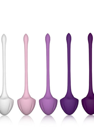 Set of 5 Kegel balls