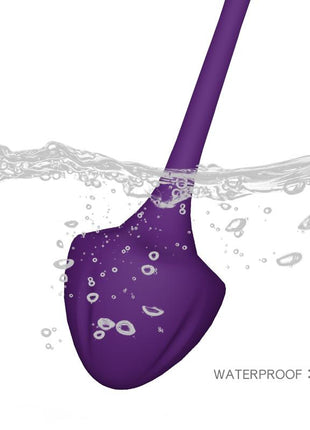 Set of 5 Kegel balls