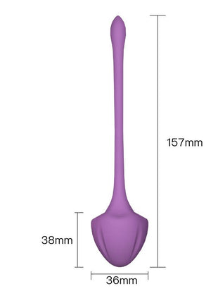 Set of 5 Kegel balls