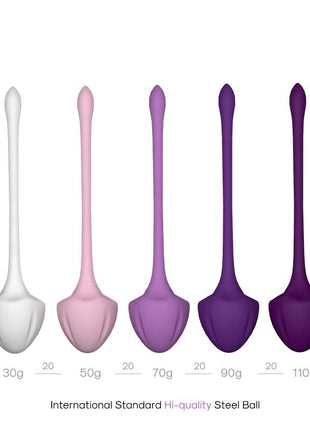 Set of 5 Kegel balls