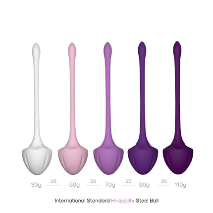 Set of 5 Kegel balls
