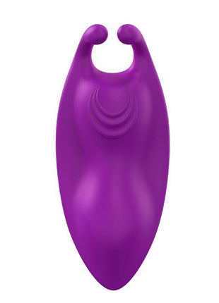 Magnetic panty vibrator
