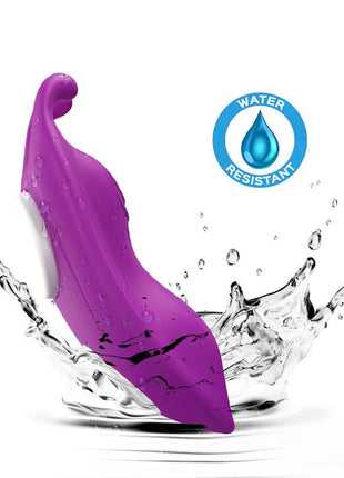 Magnetic panty vibrator