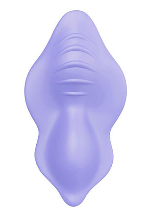 Panty Vibrator with Remote