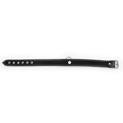 Collar with Hoop Black