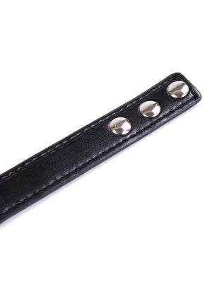 Collar with Hoop Adjustable 382 cm Black
