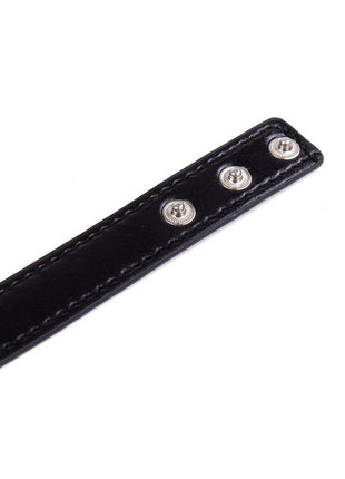 Collar with Hoop Adjustable 382 cm Black