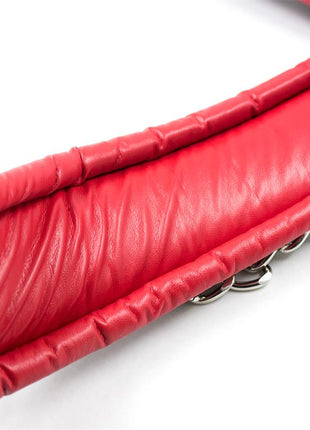 Collar With Metal Leash Padded Interior Red Black