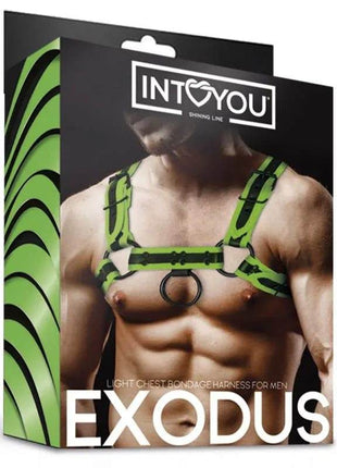 Glow in the Dark Bondage Chest Harness