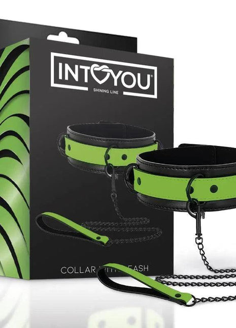 Glow in the Dark Collar with Leash